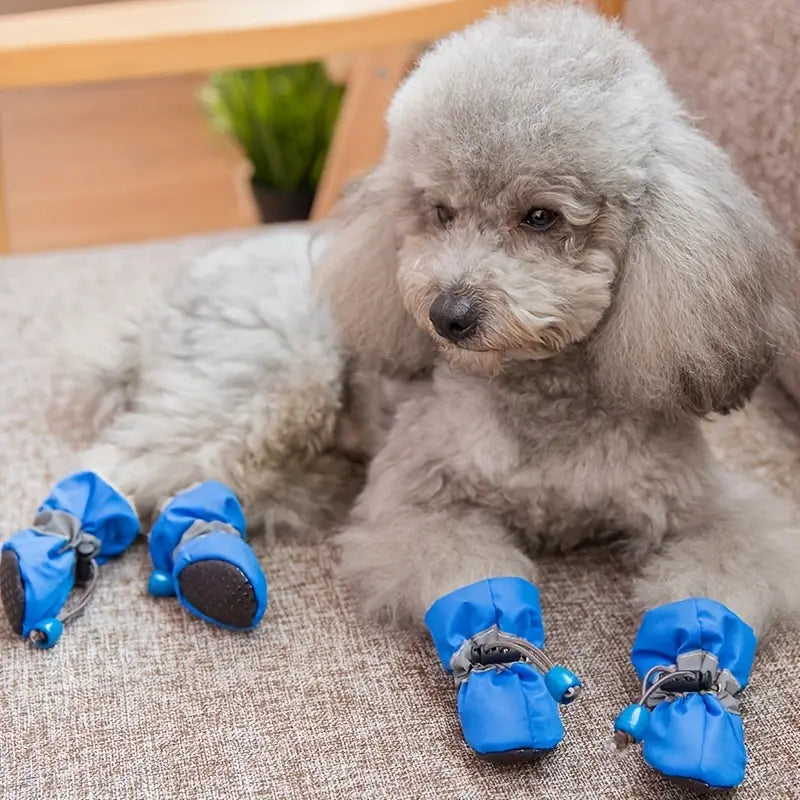 4-Pieces: Water-Resistant Dog Bootie Shoes Pet Supplies - DailySale