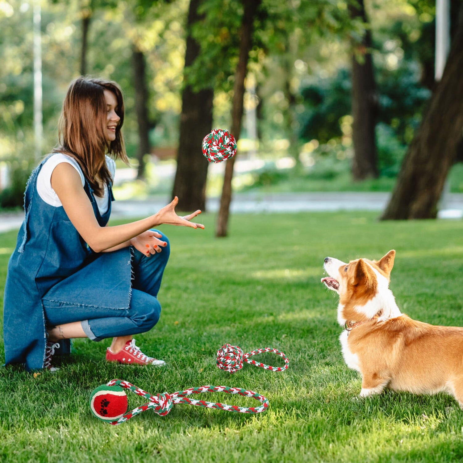 5-Pieces: Christmas Dog Rope Chew Toys Pet Supplies - DailySale