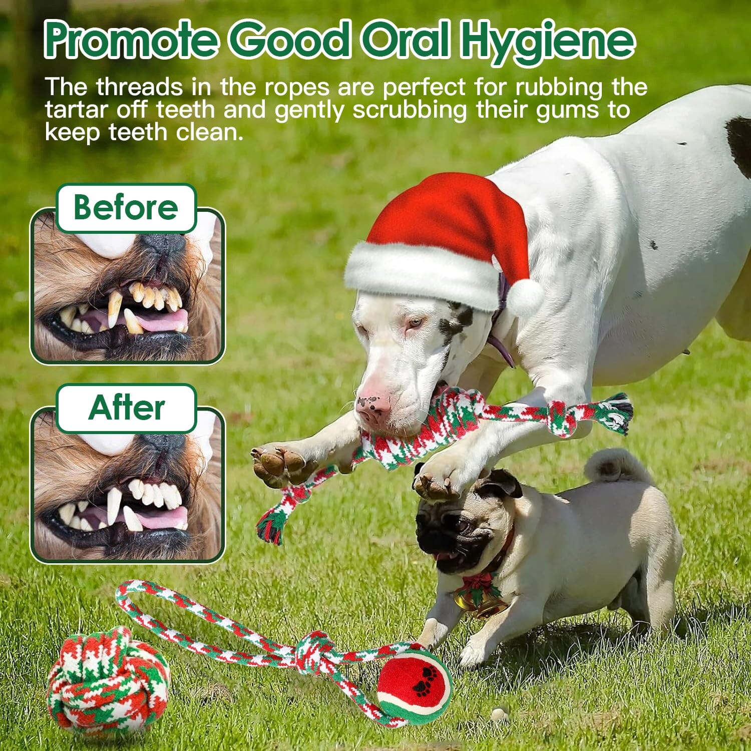 5-Pieces: Christmas Dog Rope Chew Toys Pet Supplies - DailySale