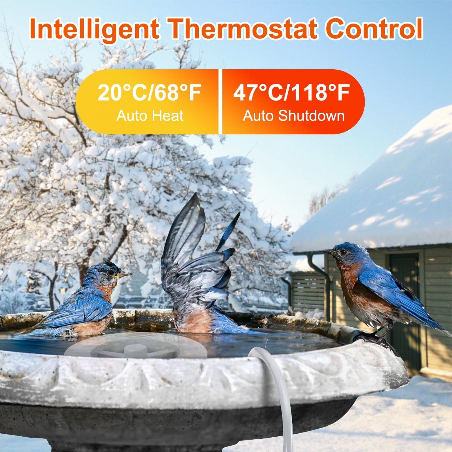 70W Bird Bath Deicer Aluminum Alloy Water Heater with Thermostat Auto Shutdown Pet Supplies - DailySale