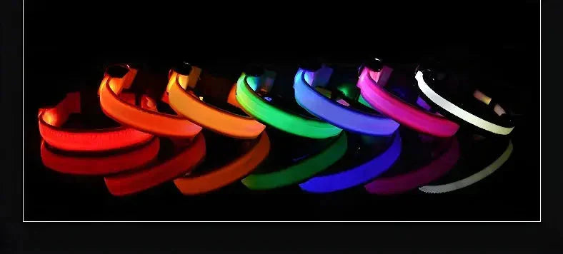 LED Dog Collar Nylon