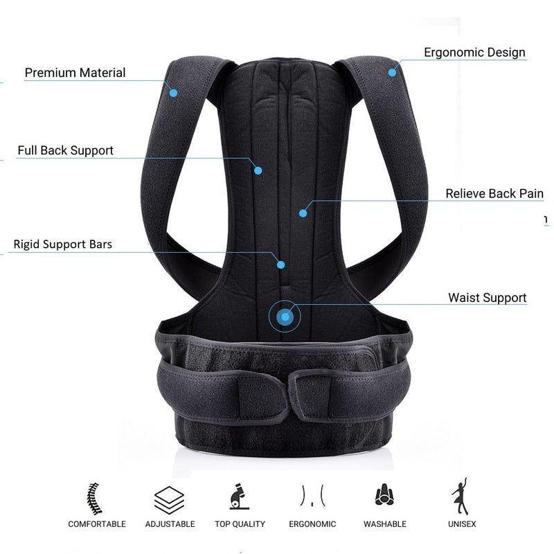Complete Back Care Support Brace for Posture Correction