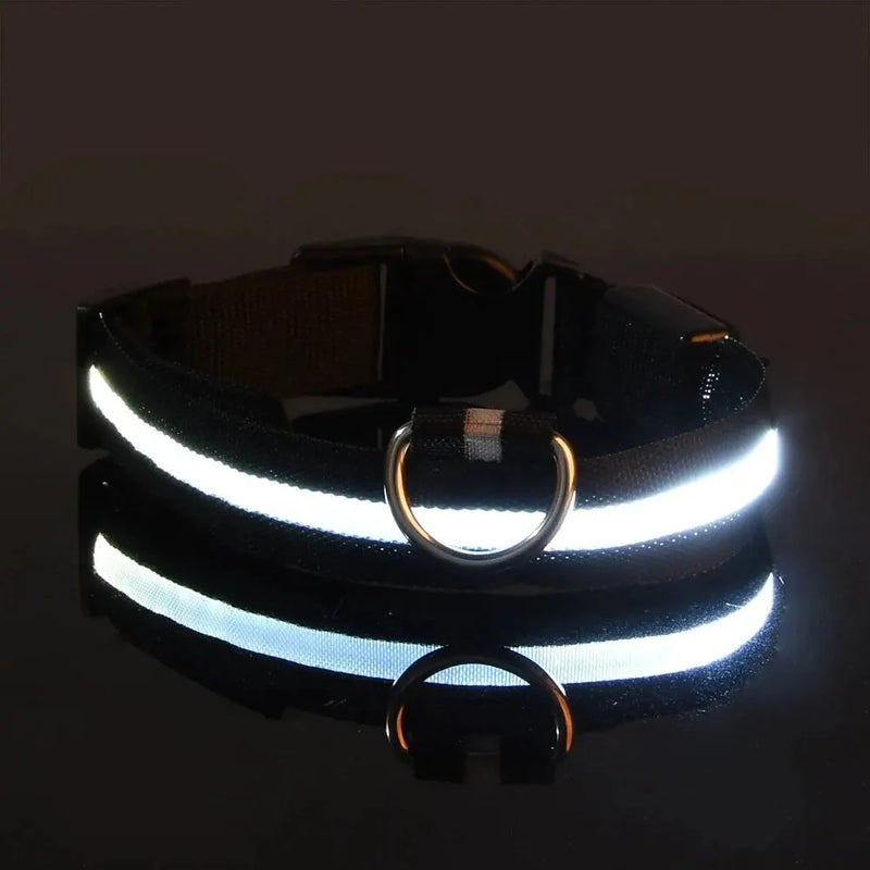LED Dog Collar Nylon