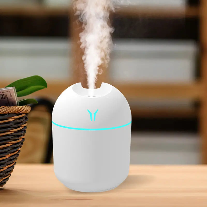 Aroma Diffuser & Humidifier Cold Mist & Night Light Wellness - DailySale