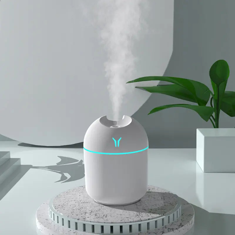 Aroma Diffuser & Humidifier Cold Mist & Night Light Wellness - DailySale