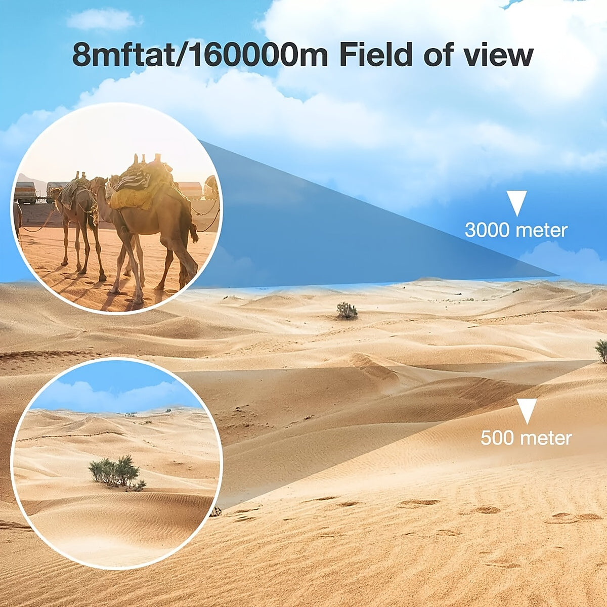 Field of view across a landscape