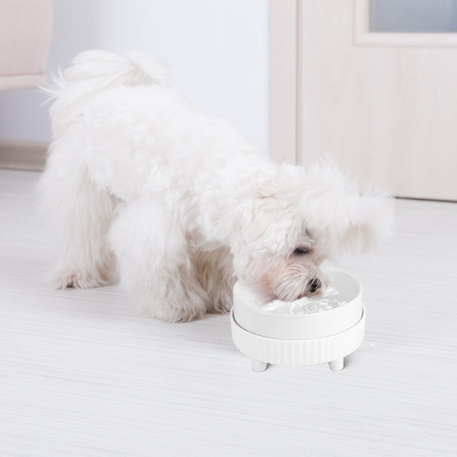 Ceramic Heated Pet Water Bowl Food Warmer Pet Supplies - DailySale