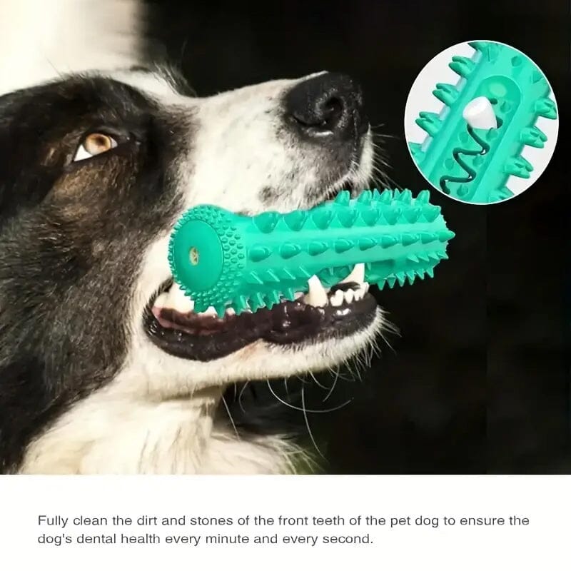 Dog Chew Toys Dog Toothbrush Stick Pet Supplies - DailySale