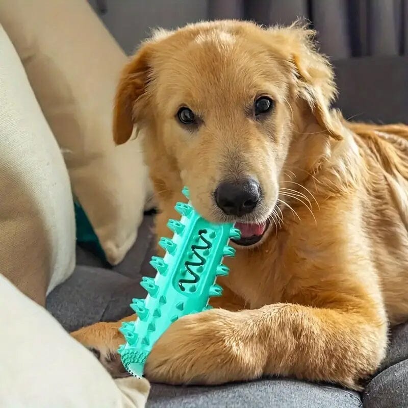 Dog Chew Toys Dog Toothbrush Stick Pet Supplies - DailySale