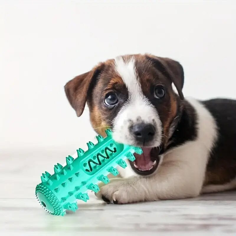 Dog Chew Toys Dog Toothbrush Stick Pet Supplies - DailySale