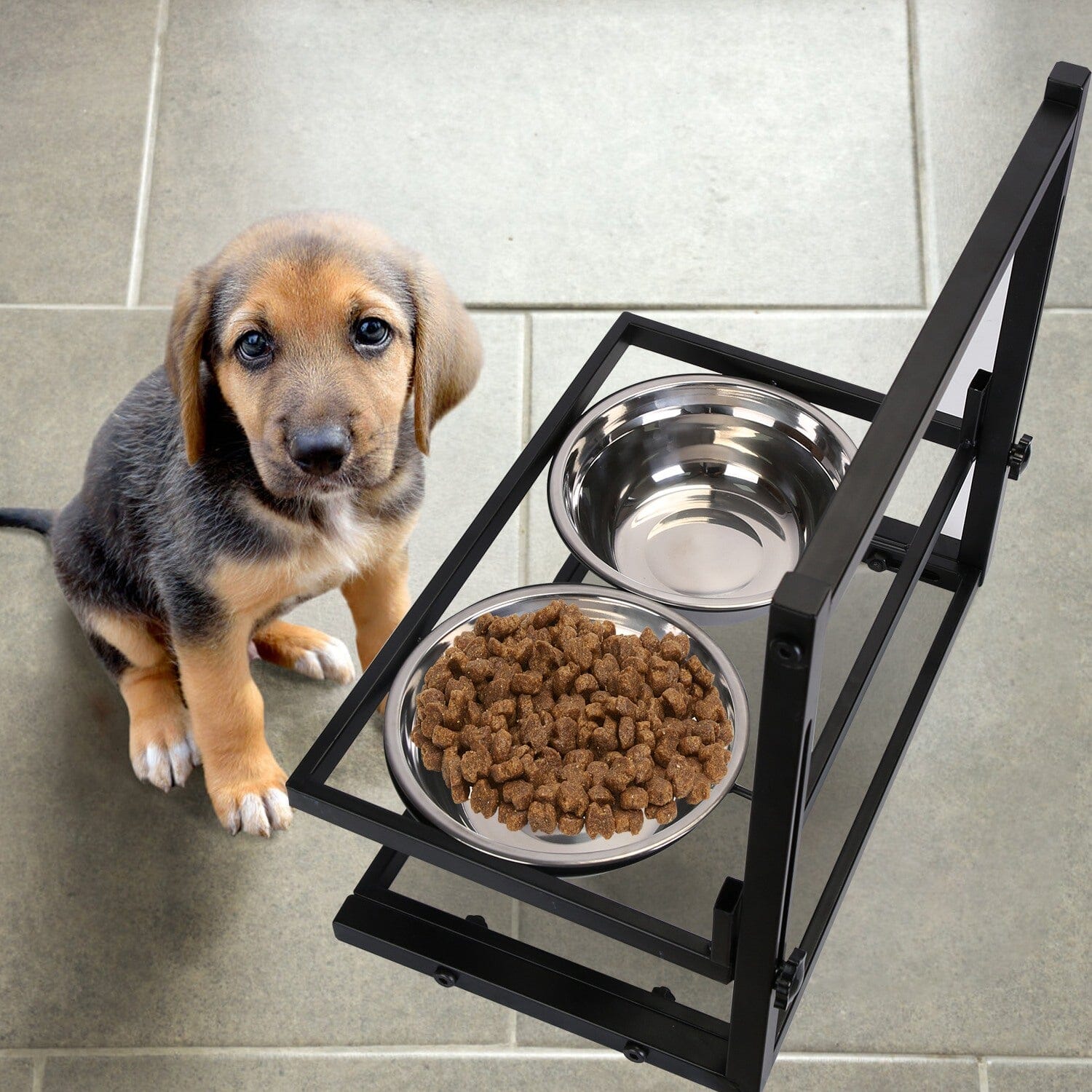 Dog Raised Bowls with Adjustable Height Stainless Steel Pet Supplies - DailySale