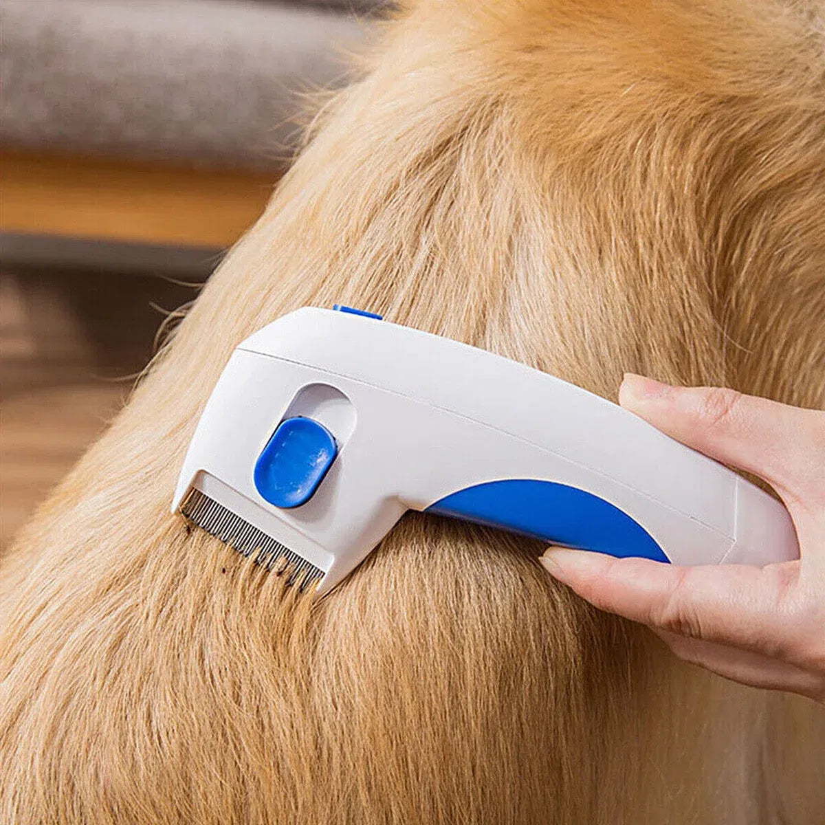 Electric Flea Comb for Cats and Dogs Pet Supplies - DailySale