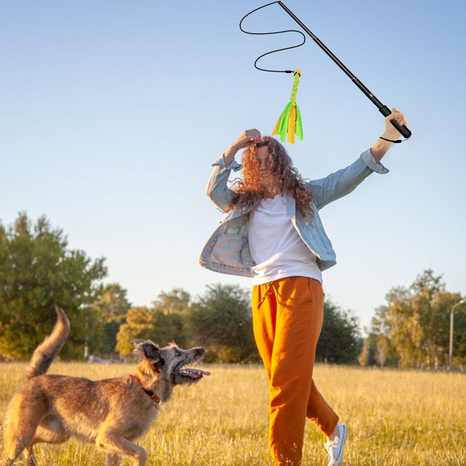 Extendable Dog Flirt Pole with 2 Replaceable Interactive Tail Toys Pet Supplies - DailySale