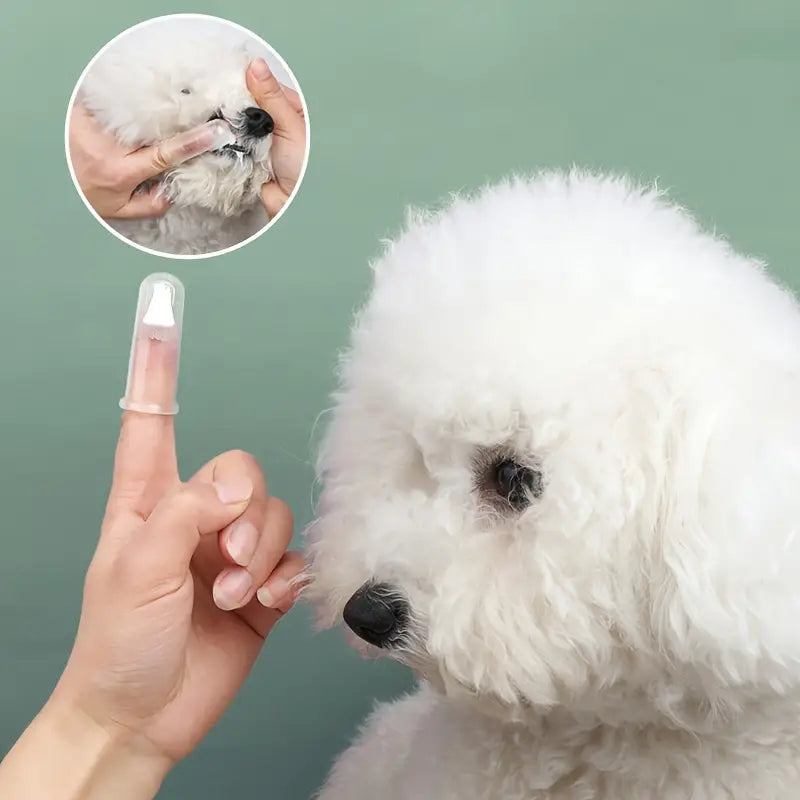 Finger Toothbrush For Dogs and Cats Pet Supplies - DailySale