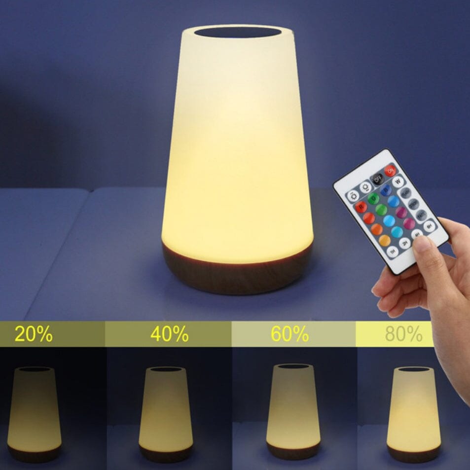 Hakol Dimmable Touch Lamp for Bedroom Indoor Lighting - DailySale