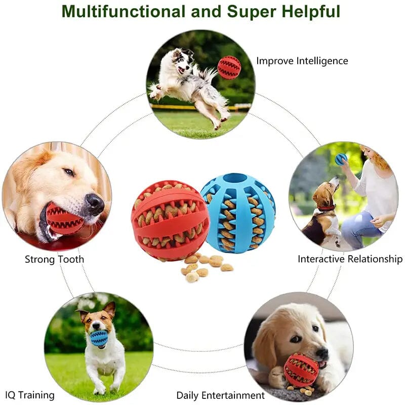 Interactive Elastic Puppy Chew Toy Pet Supplies - DailySale