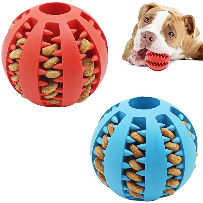 Interactive Elastic Puppy Chew Toy Pet Supplies - DailySale