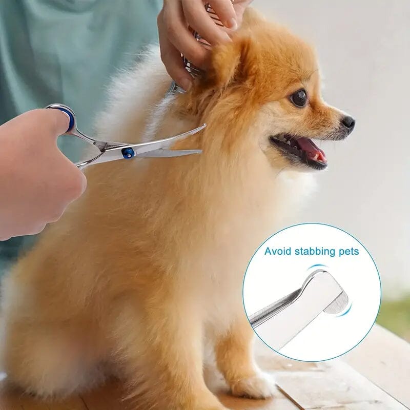 Premium Pet Grooming Scissor Pet Supplies - DailySale