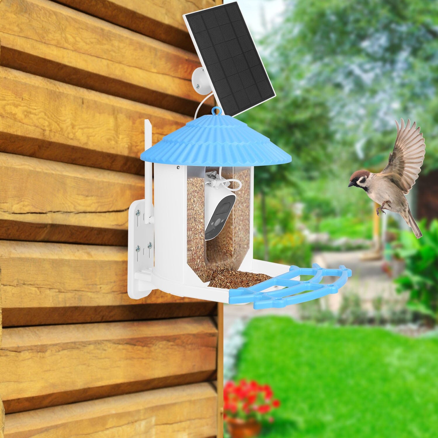 Solar Powered Smart Bird Feeder with PIR Motion AI Two-Way Audio Pet Supplies - DailySale