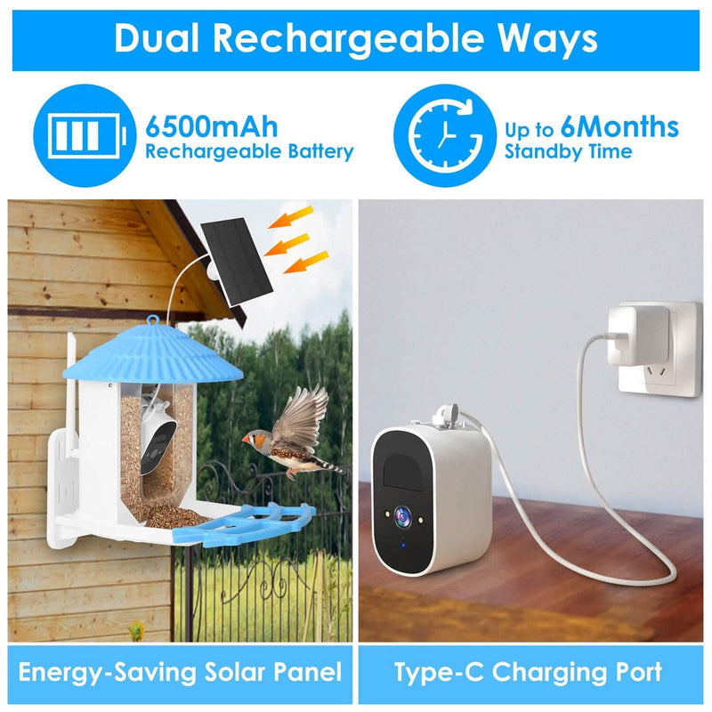 Solar Powered Smart Bird Feeder with PIR Motion AI Two-Way Audio Pet Supplies - DailySale
