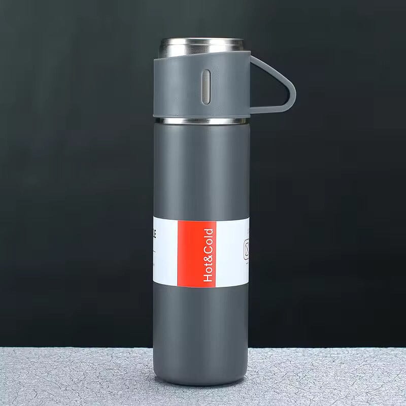 Stainless Steel Insulated Vacuum Sealed Bottle Set Kitchen Tools & Gadgets Gray - DailySale