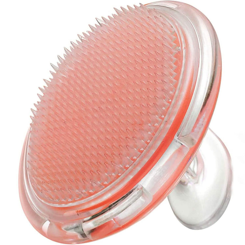 Transparent Silicone Shampoo Brush Scalp Massager Smoothing Comb Wellness - DailySale