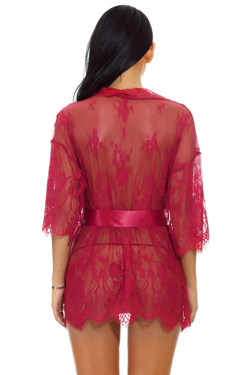 Eyelash Lace and Mesh Robe