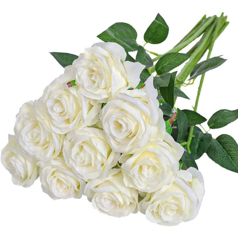 #color_off-white