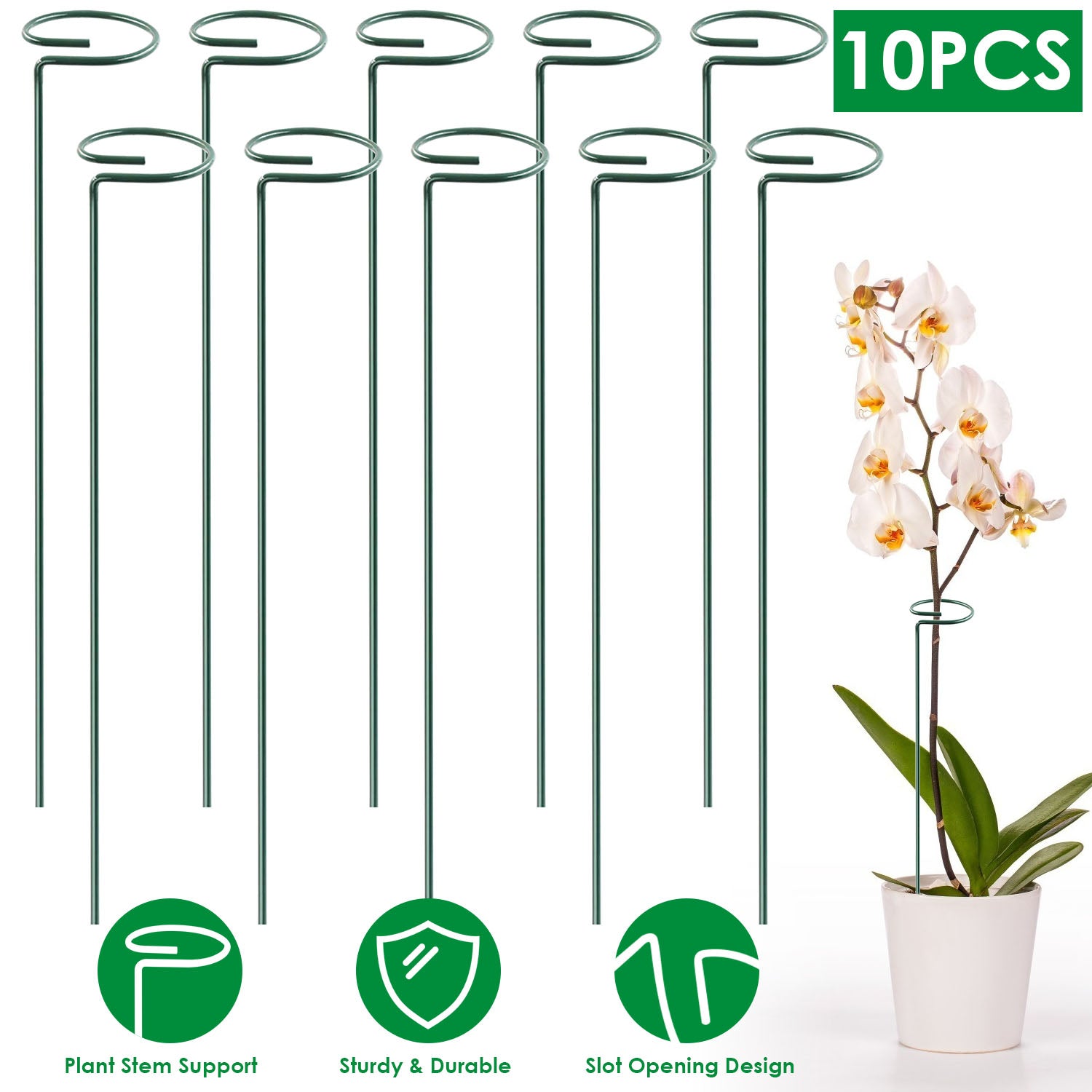 10-Pack: Plant Support Stake Garden & Patio - DailySale