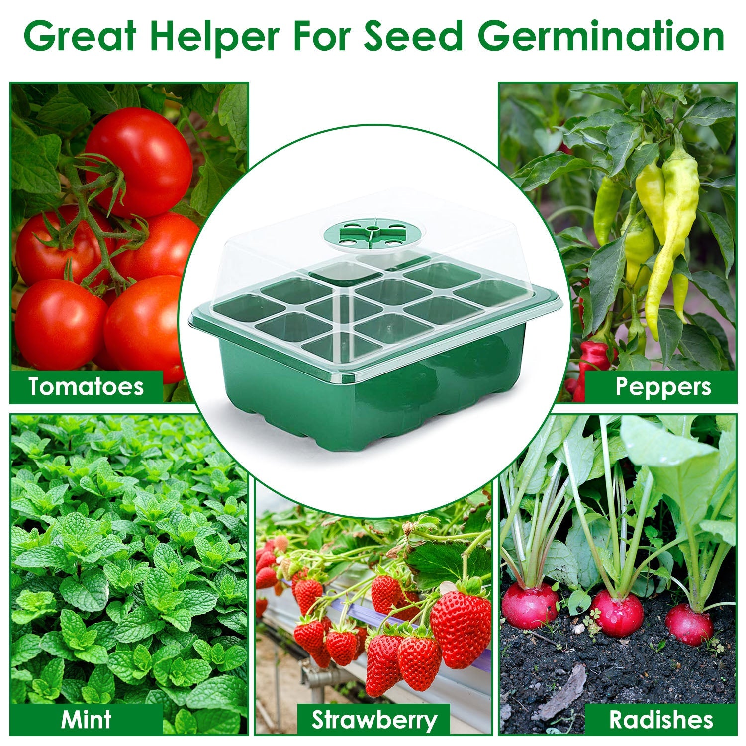 10-Piece: Reusable Seed Starter Tray Kit Garden & Patio - DailySale