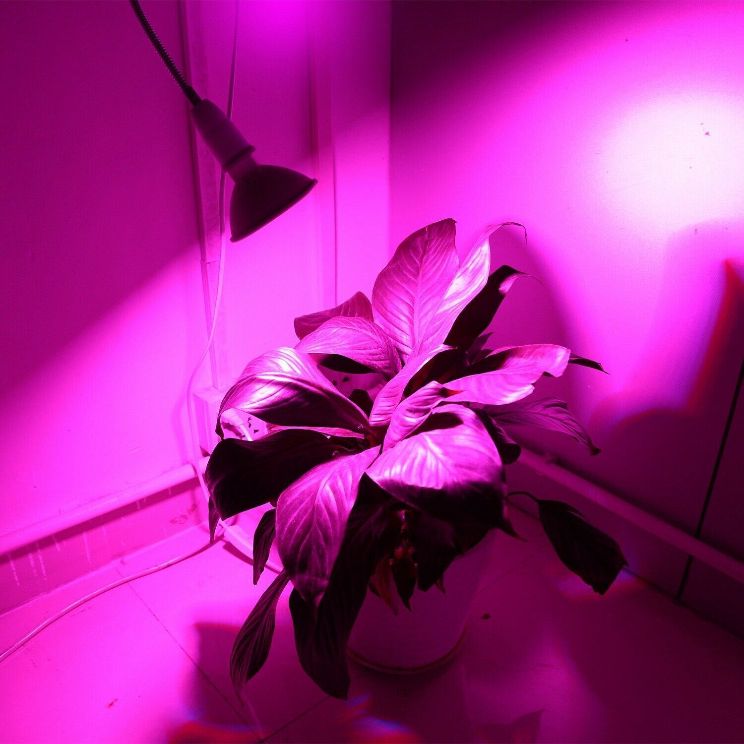 12W LED 360° Rotatable Plant Grow Light with Desk Clip Garden & Patio - DailySale