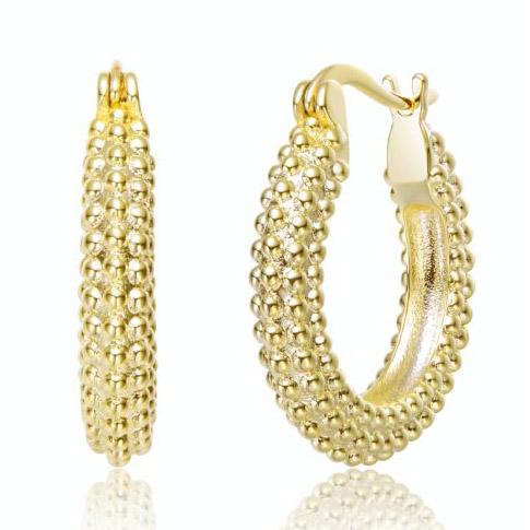 14K Gold Plated Hoop Earrings Earrings - DailySale