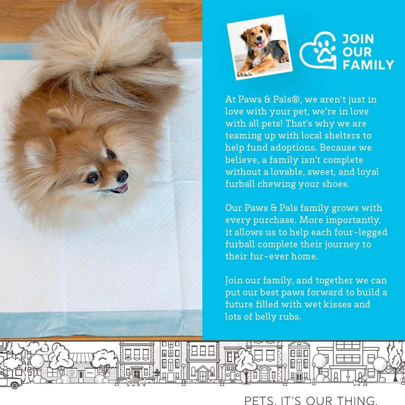 150-Pack: Puppy Pads Dog Pee Pad for Potty Training Dogs & Cats Pet Supplies - DailySale