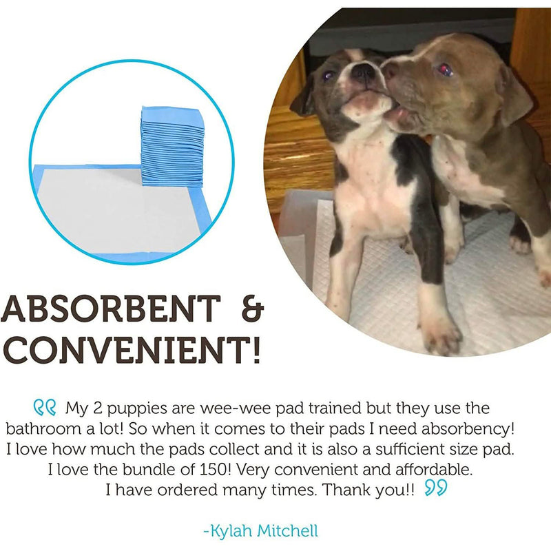 150-Pack: Puppy Pads Dog Pee Pad for Potty Training Dogs & Cats Pet Supplies - DailySale