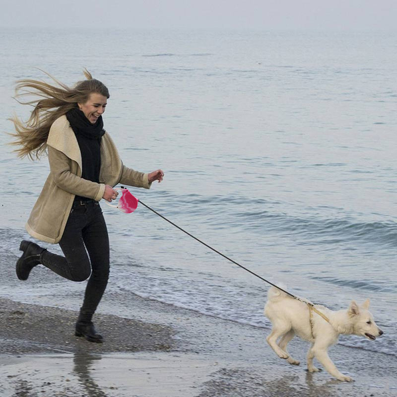 16 Feet Retractable Pet Leash Pet Supplies - DailySale