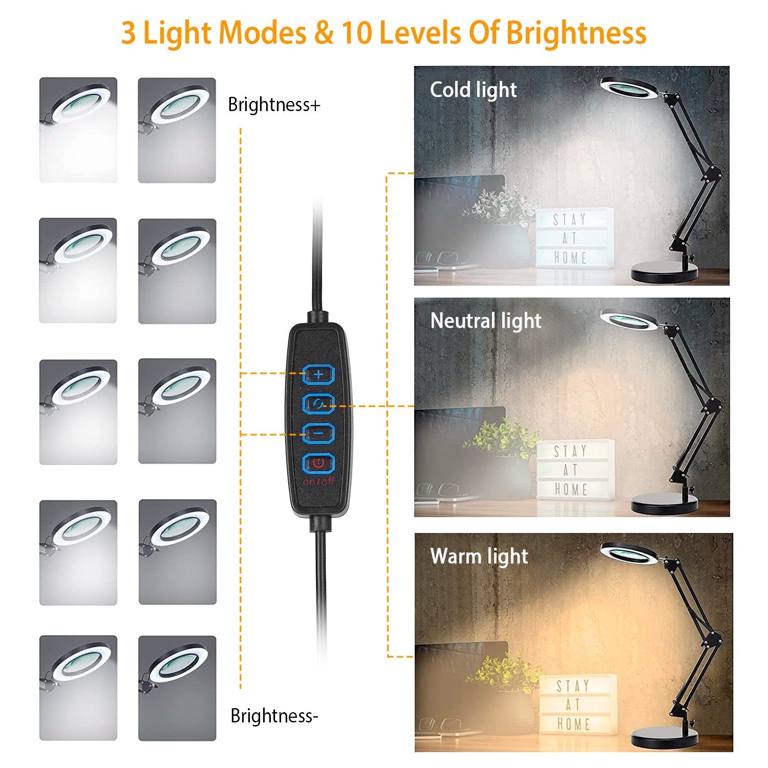 2-in-1 LED Magnifier Desk Lamp with 8x Magnifying Glass Indoor Lighting - DailySale