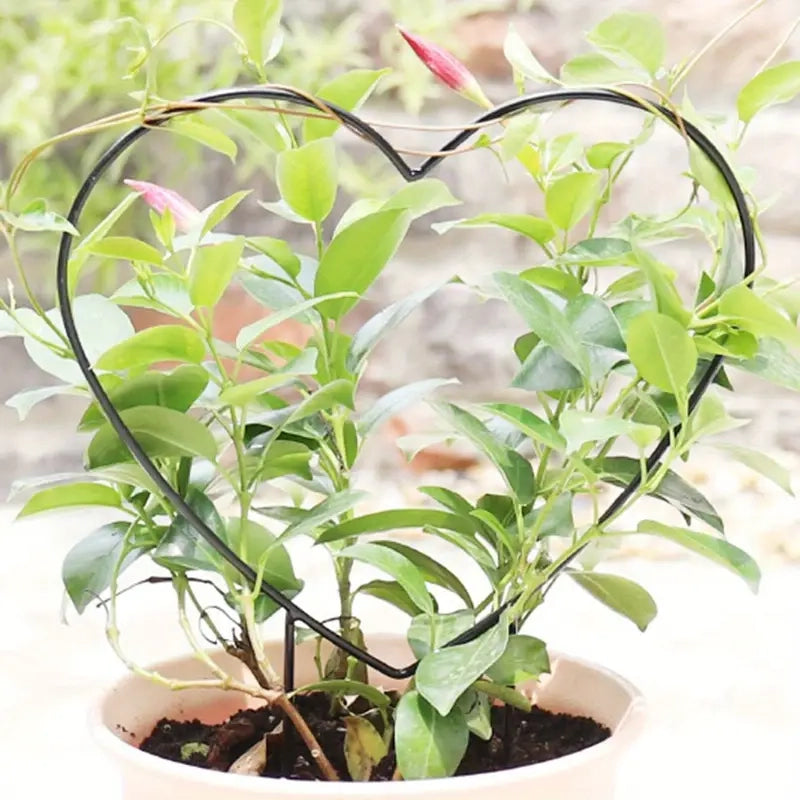 2-Pack: Heart-Shaped Plant Support Stake Garden & Patio - DailySale