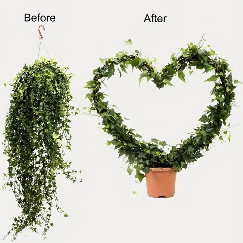 2-Pack: Heart-Shaped Plant Support Stake Garden & Patio - DailySale