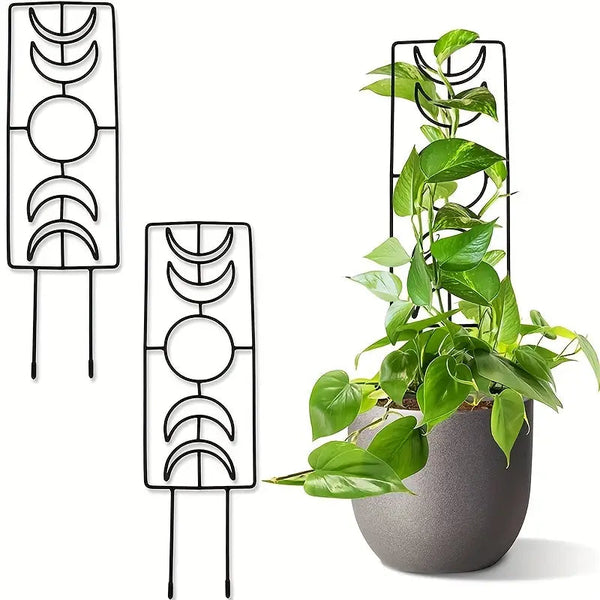 2-Pack: Metal Plant Trellis for Climbing Plants Indoor Garden & Patio - DailySale