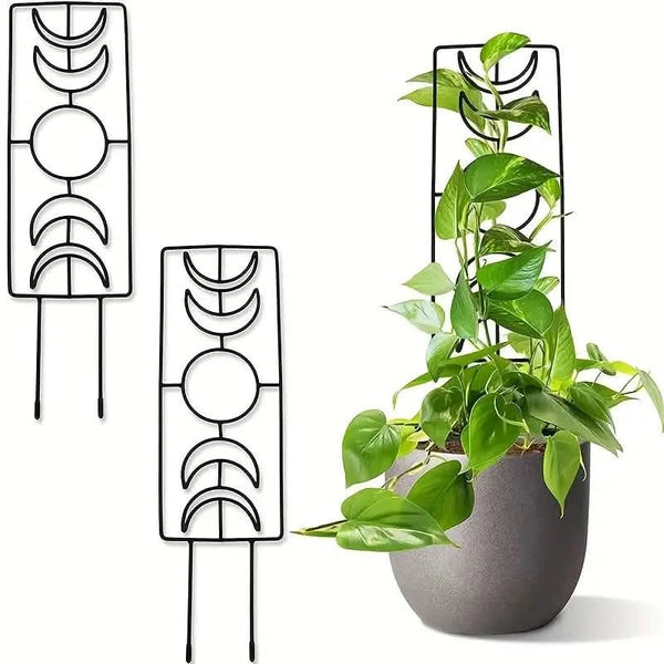 trellis for climbing plants indoor 2-Pack: Metal Plant Trellis for Climbing Plants Indoor