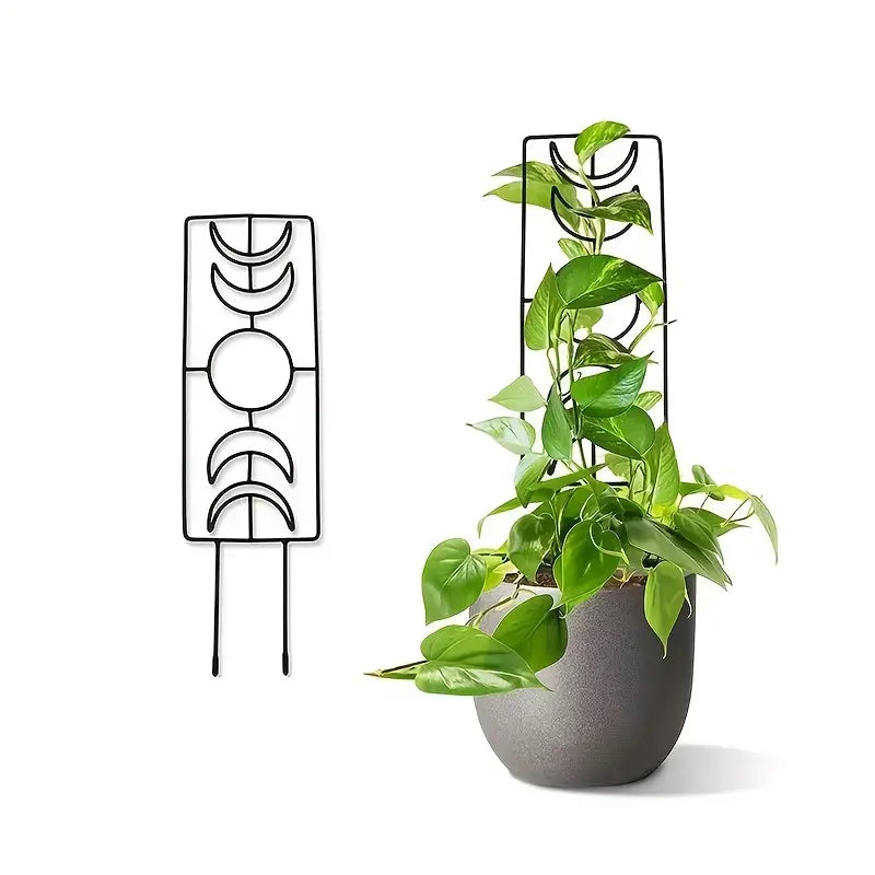 2-Pack: Metal Plant Trellis for Climbing Plants Indoor Garden & Patio - DailySale