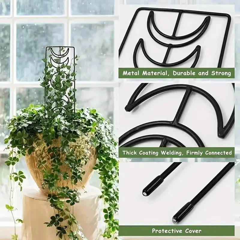 indoor climbing plant trellis 2-Pack: Metal Plant Trellis for Climbing Plants Indoor