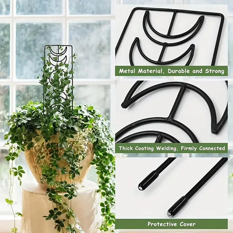 2-Pack: Metal Plant Trellis for Climbing Plants Indoor Garden & Patio - DailySale