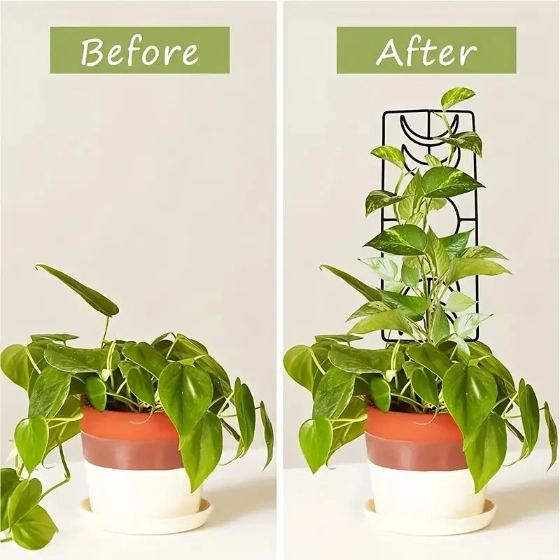 2-Pack: Metal Plant Trellis for Climbing Plants Indoor Garden & Patio - DailySale