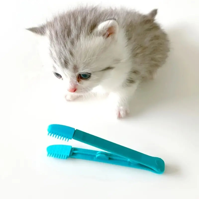 2-Pack: Pet Eye Comb Brush Pet Tear Stain Remover Comb Cleaning Grooming Tools Pet Supplies - DailySale