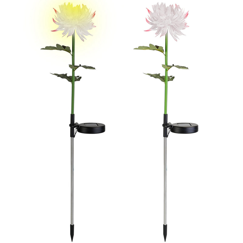 2-Pack: Solar LED Chrysanthemum Lights