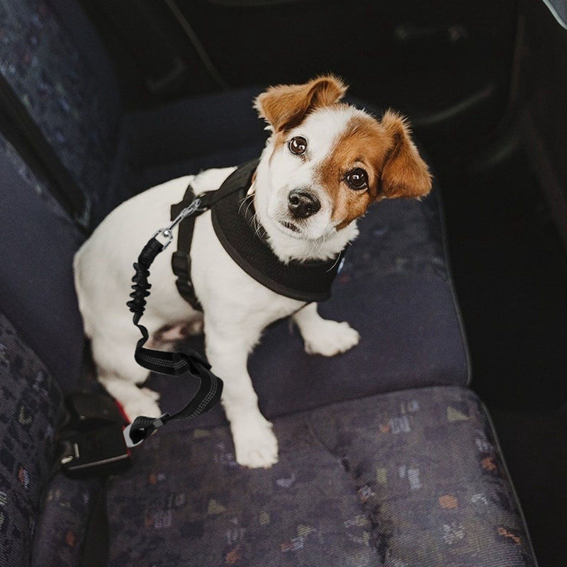 2-Piece: Pet Car Safety Seatbelt Pet Supplies - DailySale