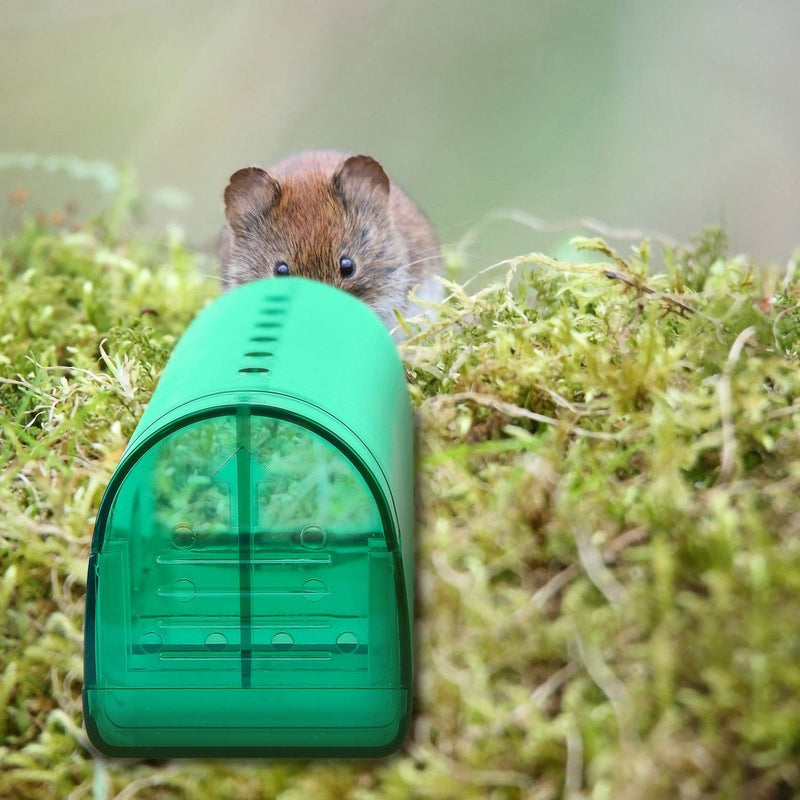 4 Pcs Humane Mouse Traps Indoor for Home, Live Mouse Reusable Traps Catcher