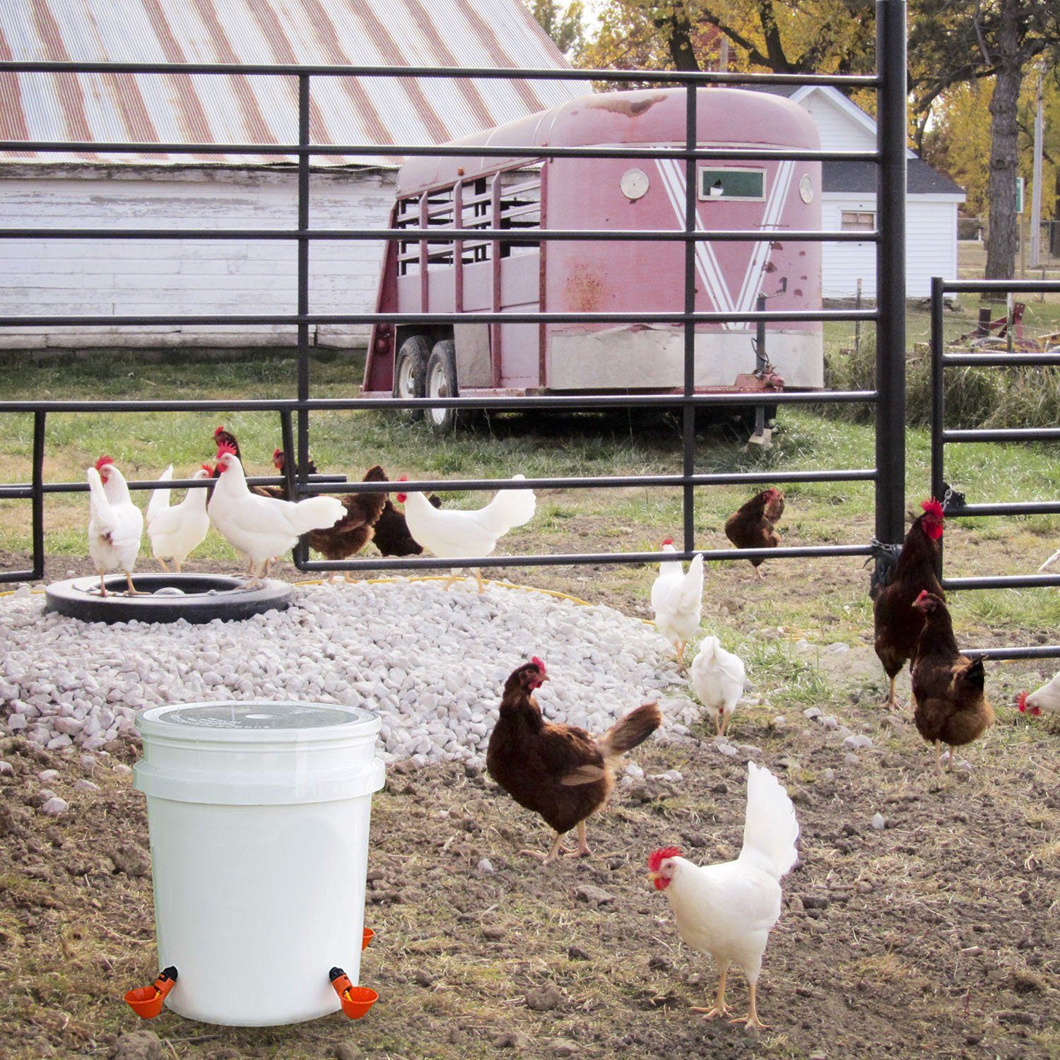 20-Pack: Chicken Waterer Automatic Drinker Pet Supplies - DailySale