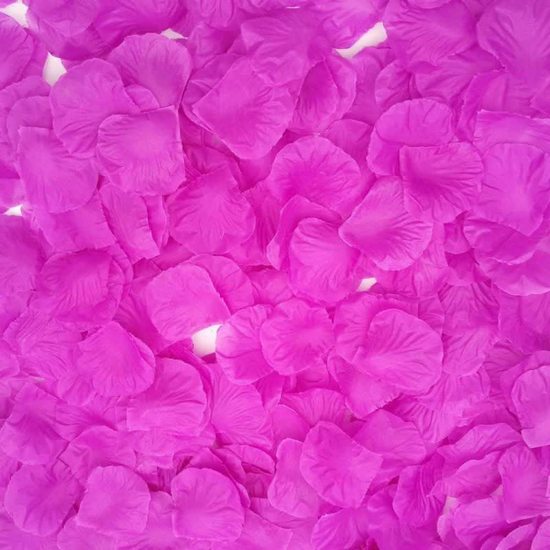 #color_purple
